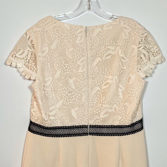Precis Petite Women Cream Lace Top Dress US L (14) - Picture 8 of 9
